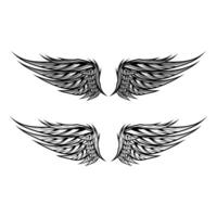 wings isolated vector template design