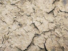 Selective focus of close up photo of dry and barren soil.