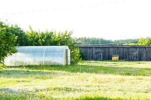 large plastic greenhouse on the street, summer. organic vegetables photo