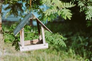 open wooden birdhouse on rowan photo