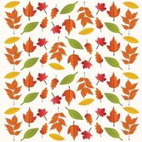 Fall leaves pattern vector