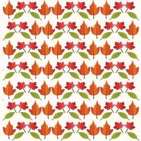 Fall leaves pattern vector