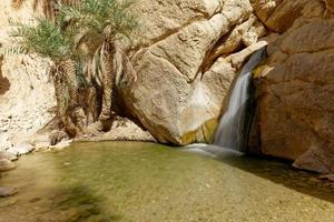 Long exposure of the Chebika Oasis in Tunisia. Travel destination. Holidays and relaxing in the desert. Waterfall in an arid and sandy area. Palm trees next to water. Tourism and adventurous life. photo