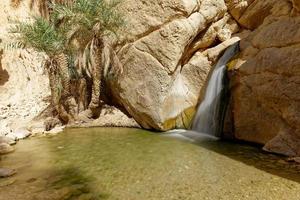 larga exposición del oasis de chebika en túnez. destino de viaje. vacaciones y relax en el desierto. cascada en una zona árida y arenosa. palmeras junto al agua. turismo y vida aventurera. foto