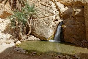 Long exposure of the Chebika Oasis in Tunisia. Travel destination. Holidays and relaxing in the desert. Waterfall in an arid and sandy area. Palm trees next to water. Tourism and adventurous life. photo
