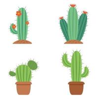 Flat Illustrations Of Cactus Plant vector