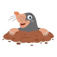 Cartoon Illustration Of A Mole vector