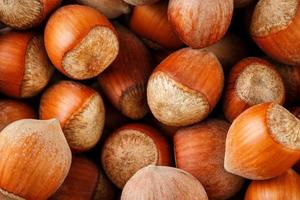 Dried unshelled hazelnuts seeds of Whole nuts as background photo