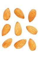Almond isolated. Nuts on white background. Collection. Clipping path included. Full depth of field photo