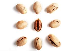 Set of peeled pecans in the center surrounded by nuts in the shell, isolated on a white background, square composition. photo