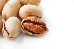 Pecan isolated on white background. Close-up, macro. A nut in a shell. photo