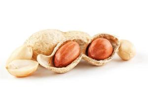 Peanuts closeup in shell and peeled on a white background photo