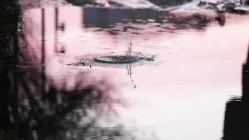 un' piccolo pietra gettato nel il alluvione acqua quello spruzzi nel il la zona durante giorno - vicino su tiro video