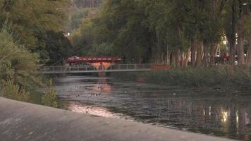 un' sbalorditivo Visualizza di calma fiume acque di Leiria, Portogallo con uccelli atterraggio su il calcestruzzo parete e acqua con un' piccolo ponte nel il distanza - tempo periodo video