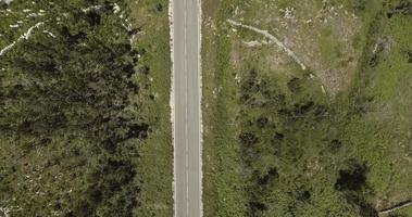 toma de arriba hacia abajo de la carretera asfaltada vacía en reguengo do fetal, batalha, portugal - drone aéreo video
