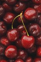 Ripe and fresh berries of a sweet cherry with water drops closeup. photo