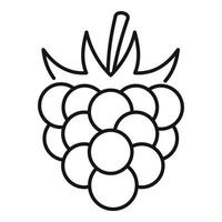 icono de frambuesa de fruta, estilo de contorno vector