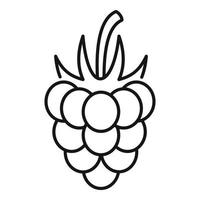 Natural raspberry icon, outline style vector