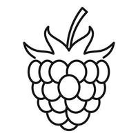 Dessert raspberry icon, outline style vector