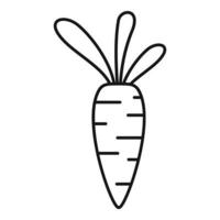 Diet carrot icon, outline style vector