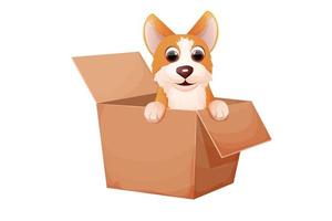 linda mascota corgi, cachorro en la caja, adopta el concepto animal, personaje sin hogar en estilo de dibujos animados aislado en fondo blanco. ilustración vectorial vector