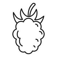 Fresh raspberry icon, outline style vector