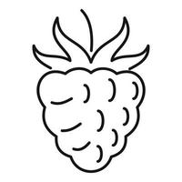 Sweet raspberry icon, outline style vector