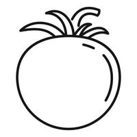 Raw tomato icon, outline style vector