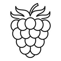 Raspberry icon, outline style vector