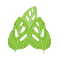 logotipo de hoja de monstera adansonii, vector de planta verde, vector de árbol, ilustración de hoja rara