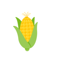 Green husks of yellow corn are used as a food ingredient. png