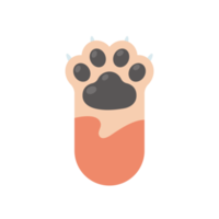 Dog and cat paws with sharp claws. cute animal footprints png