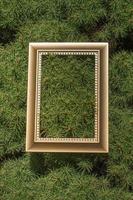 Blank wooden picture  frame on green background photo
