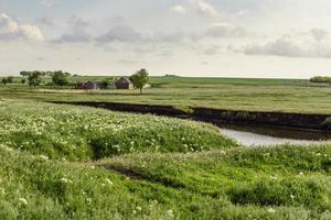 Green summertime field landscape photo