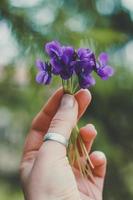 cerrar la mano con la foto del concepto de plantas en flor púrpura