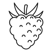 Delicious raspberry icon, outline style vector