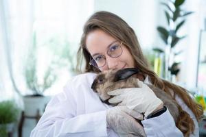 Veterinarian treating sick rabbits He is giving the young bunnies the attention they need to be well photo