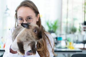 Veterinarian treating sick rabbits He is giving the young bunnies the attention they need to be well photo