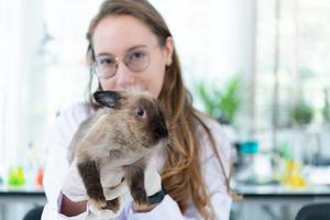 veterinario que trata conejos enfermos le está dando a los conejitos jóvenes la atención que necesitan para estar bien foto