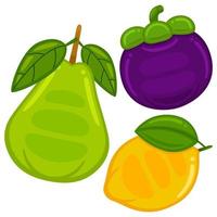 lindo, frutas, vector, ilustración vector