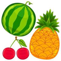 lindo, frutas, vector, ilustración vector