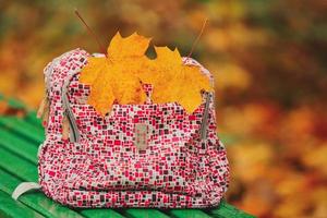 Back to school. autumn leaves. Red school backpack standing on green bench. school backpack on a park bench with leaves. two yellow maple leaves photo