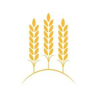 Rice symbol. Wheat symbol vector. wallpaper. logo design. vector