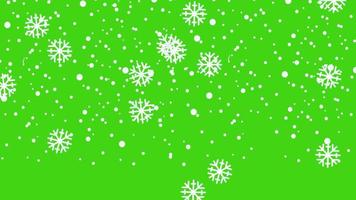 nevicata ciclo continuo su verde schermo. inverno neve caduta giù 2d cartone animato animazione. i fiocchi di neve lancio giù video