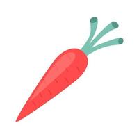 Whole carrot isolated on white background. Flat illustration of ripe vegetable. Design element for labels or package. vector