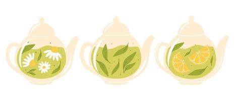 Set of teapots with tea. Collection of teapots with green, herbal and chamomile tea. Vector illustration. Flat style.