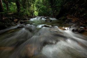 hermosa cascada que fluye desde la montaña en el bosque. foto