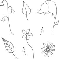 Hand drawn flowers and leaves, vector. vector