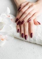 manos de una mujer joven con manicura roja oscura en las uñas foto