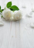 White roses on a wooden table photo